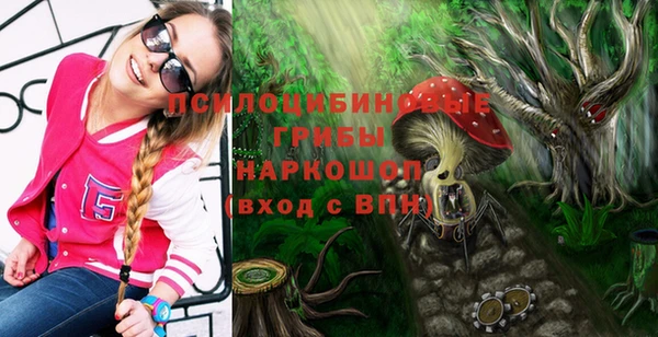 ешки Аркадак