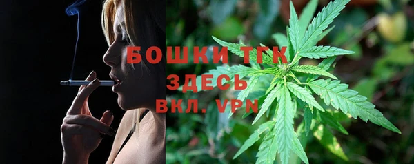 ешки Аркадак