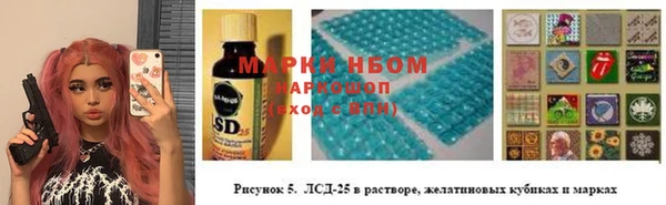 ешки Аркадак