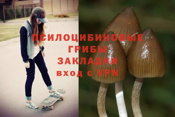 ешки Аркадак
