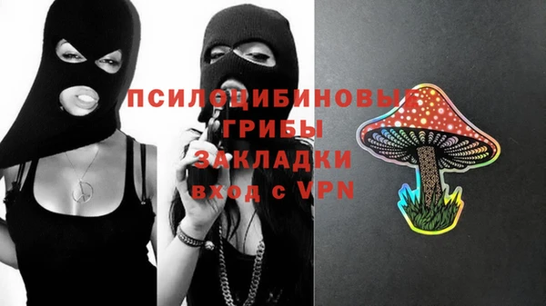 прущие грибы Рославль