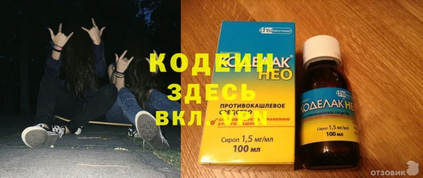 ешки Аркадак